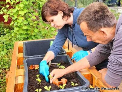 Gartenarbeit in unserer Wohnsstätte